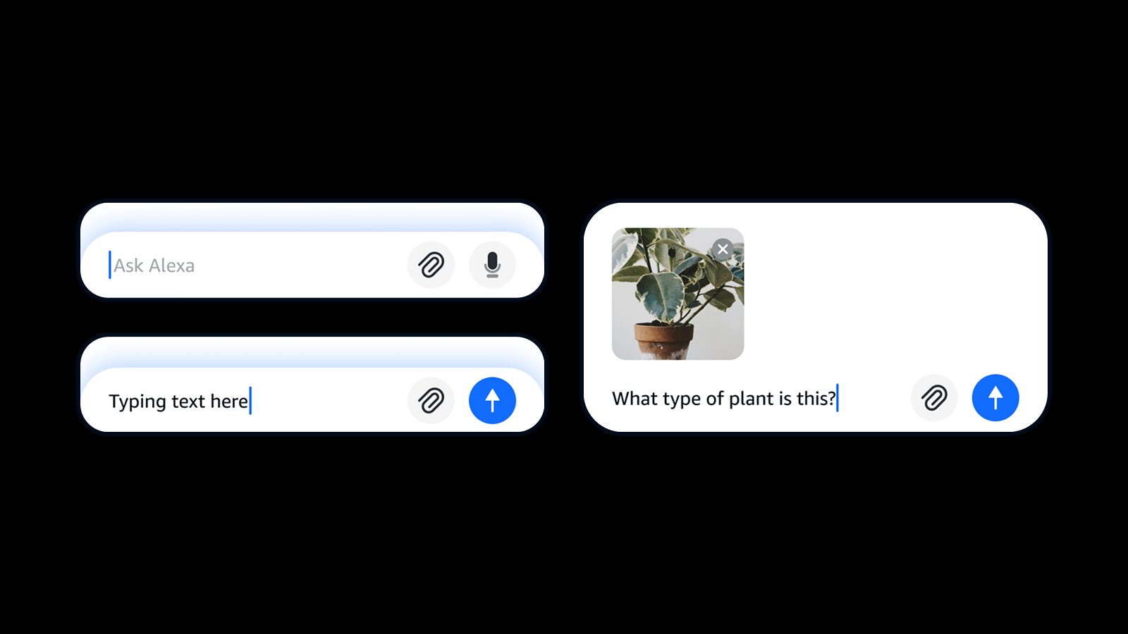 The Ask Alexa input bar in three states: empty with attach and microphone buttons, holding typed text with the microphone swapped for a blue send button, and with a photo of a potted plant attached above the question “What type of plant is this?”